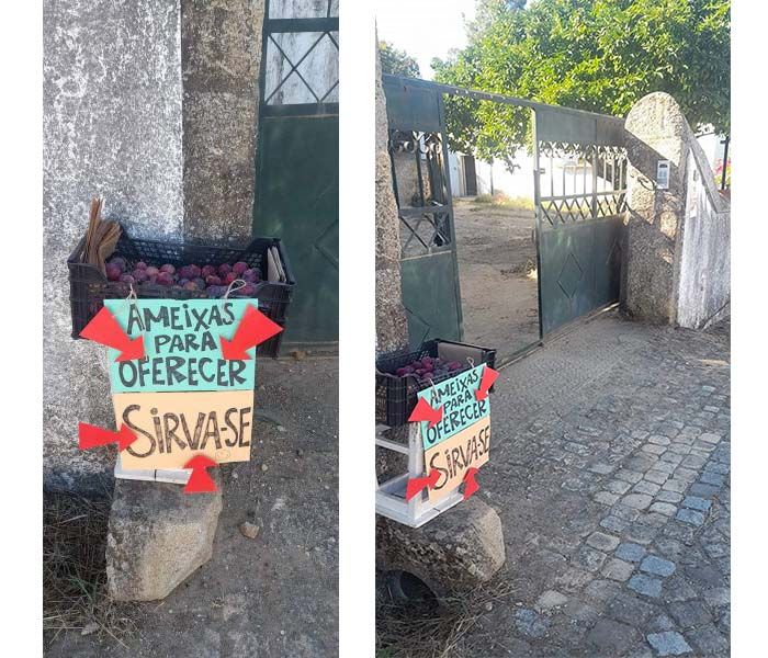 Castelo Branco: Generosidade em Juncal do Campo
