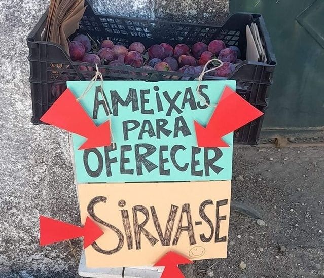 Castelo Branco: Generosidade em Juncal do Campo
