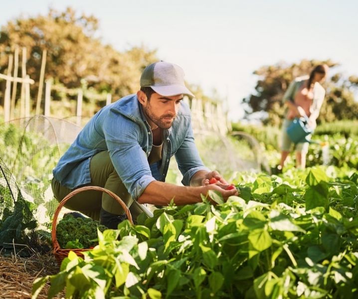 Jovens agricultores são estratégicos na transição agroecológica