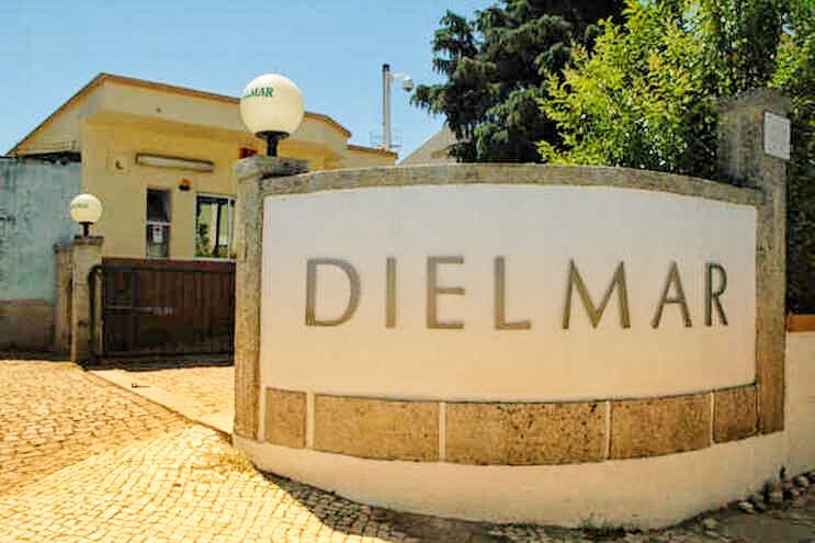 Castelo Branco: Empresa em situação laboral preocupante ao se vislumbrar mais um despedimento coletivo